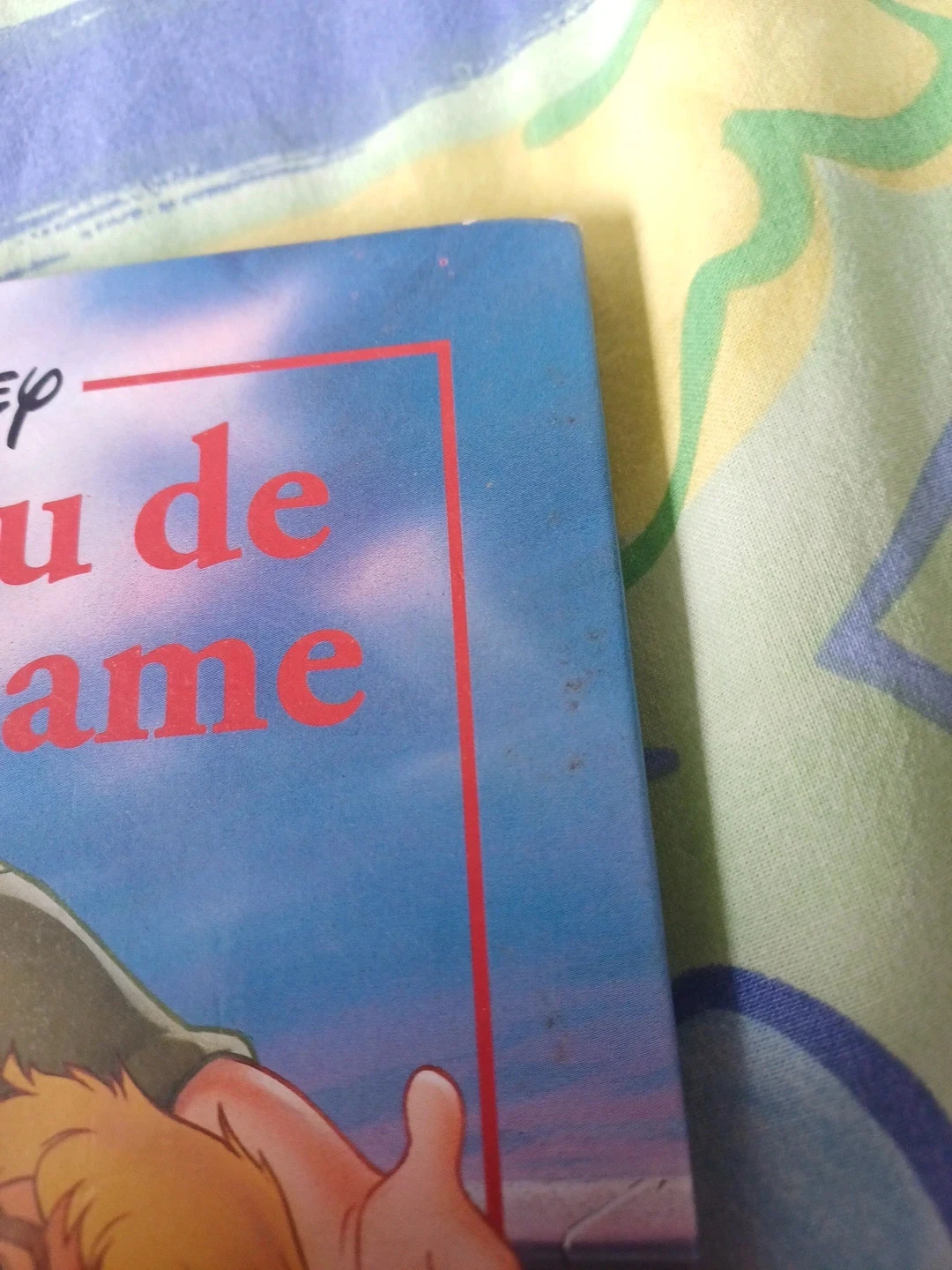 Livre infantil O Corcunda de Notre Dame – photo 4